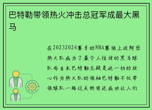 巴特勒带领热火冲击总冠军成最大黑马